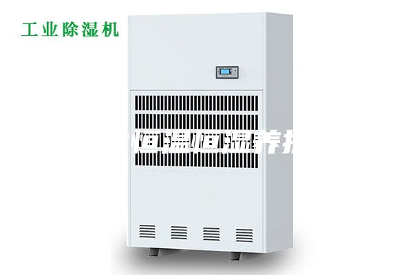 河北恒温恒湿养护箱