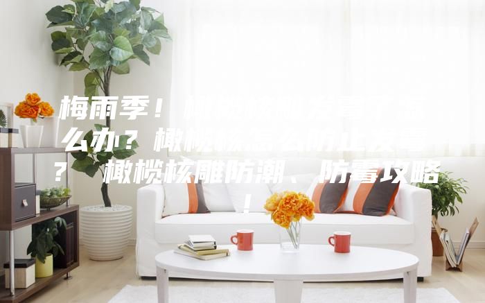 梅雨季！橄榄核雕发霉了怎么办？橄榄核怎么防止发霉？ 橄榄核雕防潮、防霉攻略！