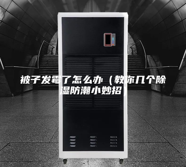 被子发霉了怎么办（教你几个除湿防潮小妙招）