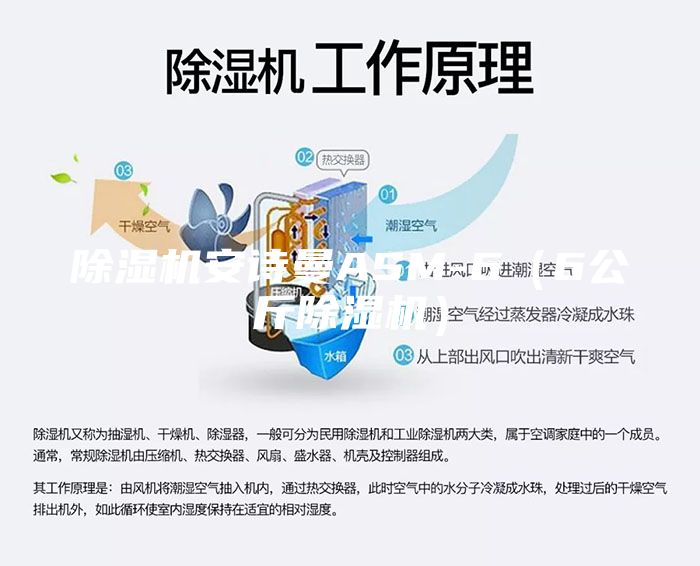 除湿机安诗曼ASM-6（6公斤除湿机）