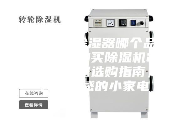 除湿机／除湿器哪个品牌好，如何购买除湿机2023年除湿器选购指南，提升幸福感的小家电
