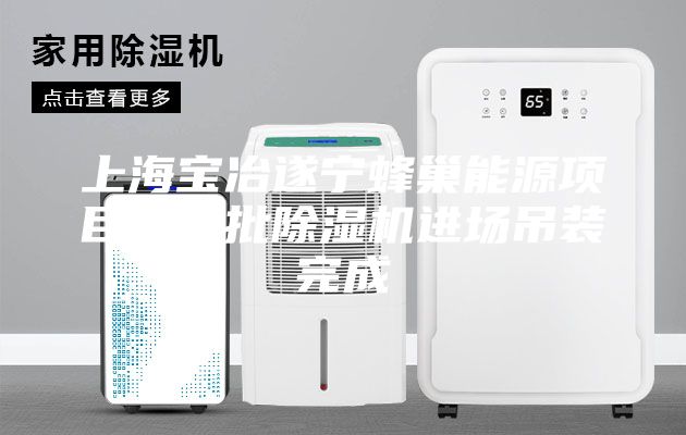 上海宝冶遂宁蜂巢能源项目第一批除湿机进场吊装完成