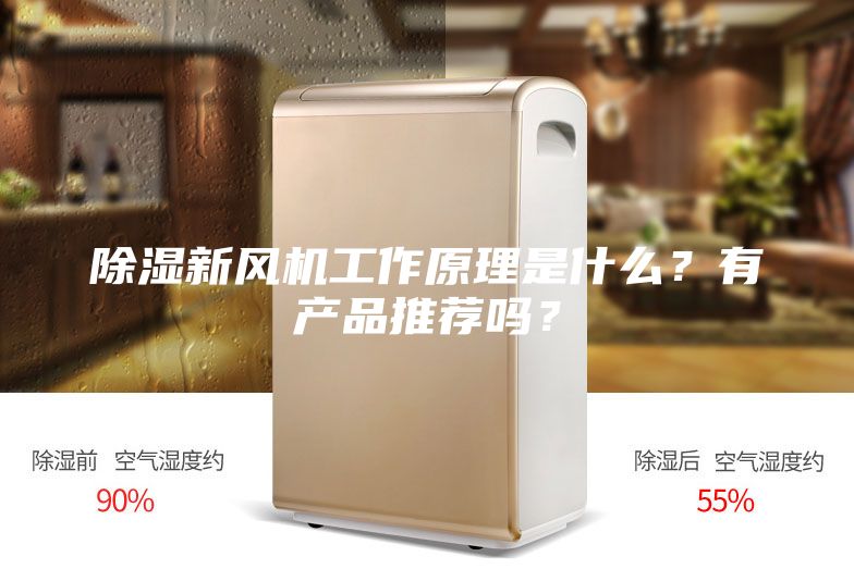 除湿新风机工作原理是什么？有产品推荐吗？