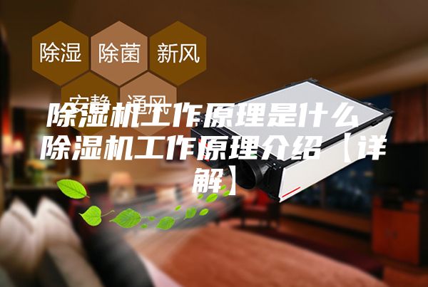除湿机工作原理是什么 除湿机工作原理介绍【详解】