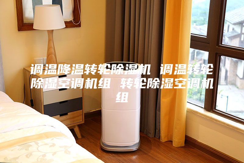 调温降温转轮除湿机 调温转轮除湿空调机组 转轮除湿空调机组