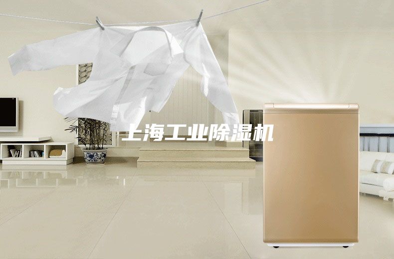 上海工业除湿机