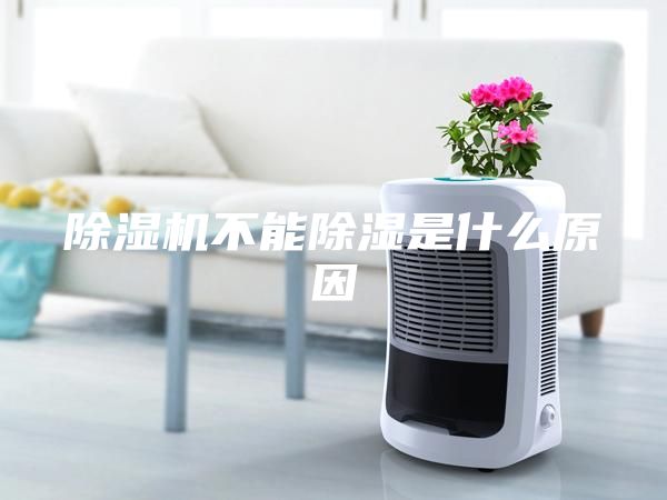 除湿机不能除湿是什么原因