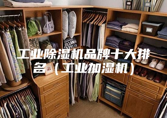 工业除湿机品牌十大排名（工业加湿机）