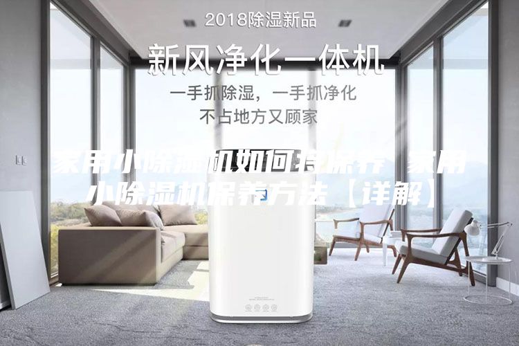 家用小除湿机如何将保养 家用小除湿机保养方法【详解】