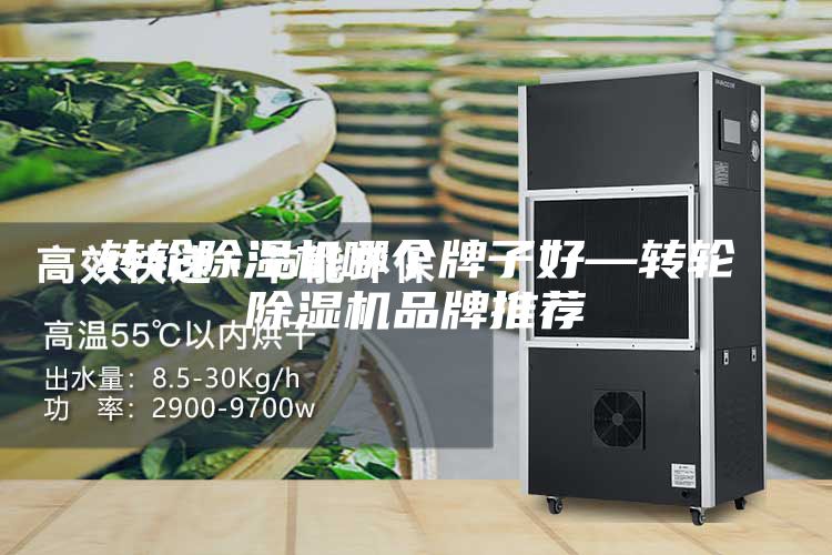 转轮除湿机哪个牌子好—转轮除湿机品牌推荐