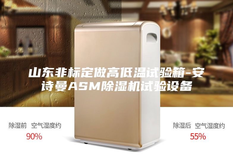 山东非标定做高低温试验箱-安诗曼ASM除湿机试验设备