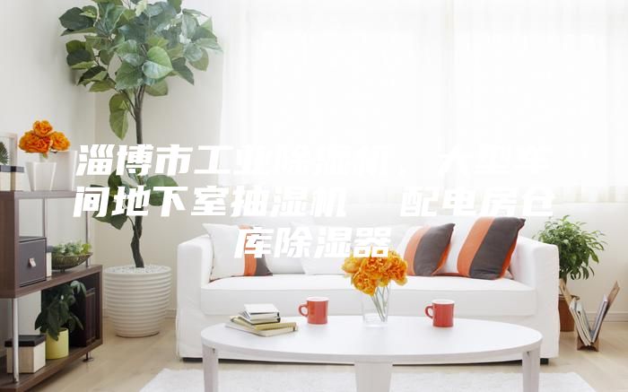 淄博市工业除湿机，大型车间地下室抽湿机  配电房仓库除湿器