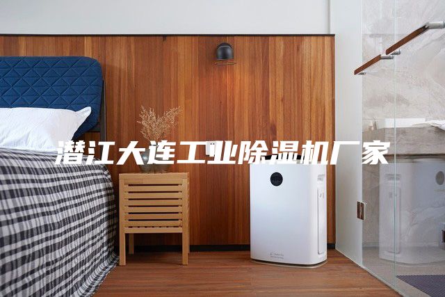 潜江大连工业除湿机厂家