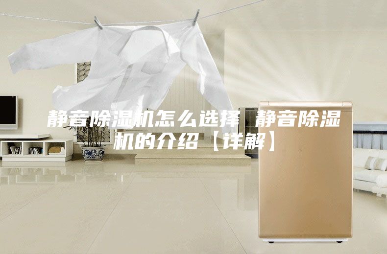 静音除湿机怎么选择 静音除湿机的介绍【详解】