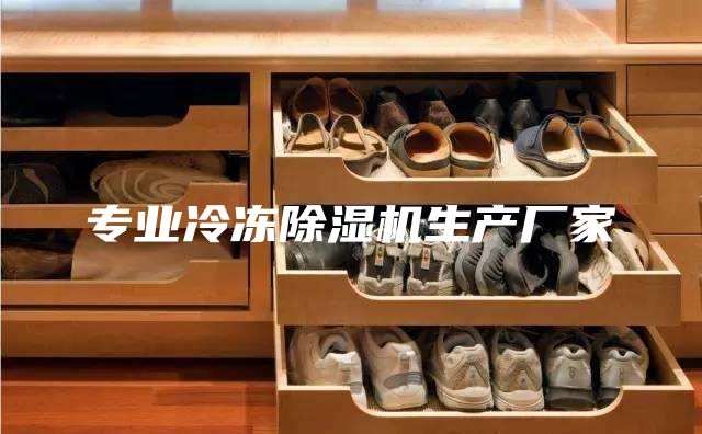 专业冷冻除湿机生产厂家