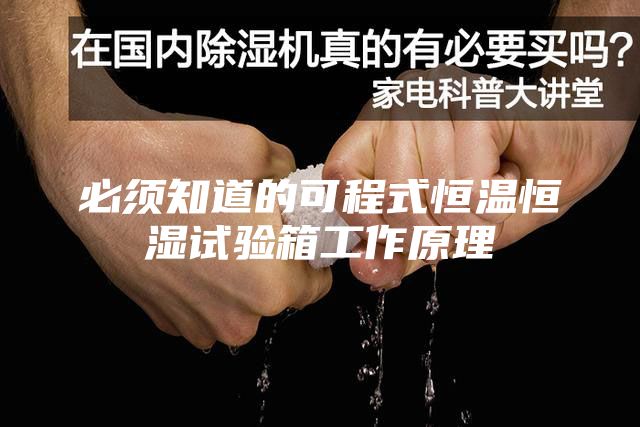 必须知道的可程式恒温恒湿试验箱工作原理