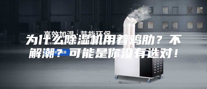 为什么除湿机用着鸡肋？不解潮？可能是你没有选对！
