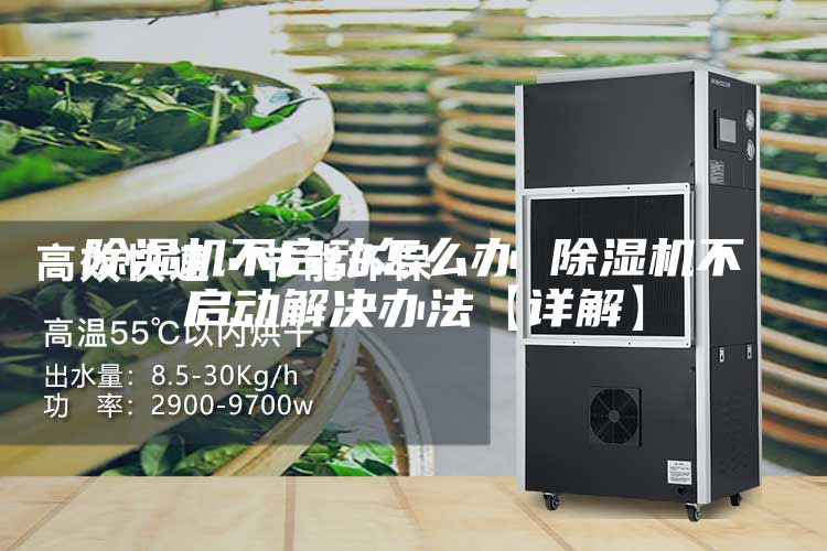 除湿机不启动怎么办 除湿机不启动解决办法【详解】