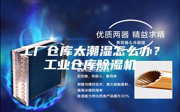 工厂仓库太潮湿怎么办？工业仓库除湿机
