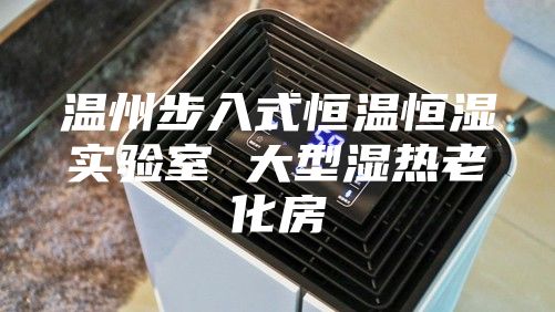 温州步入式恒温恒湿实验室 大型湿热老化房