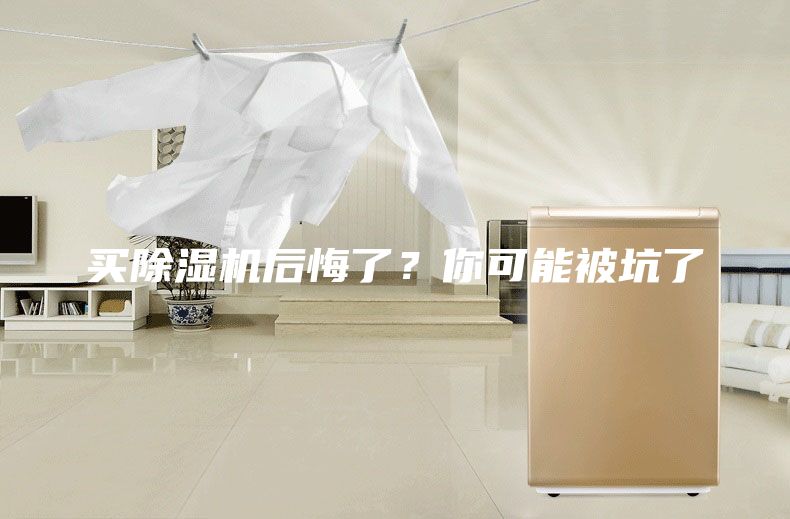买除湿机后悔了？你可能被坑了
