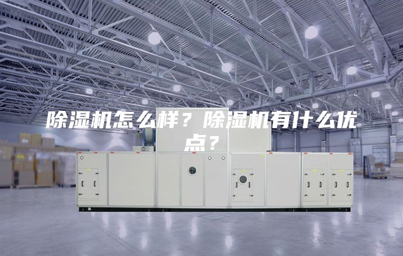 除湿机怎么样？除湿机有什么优点？