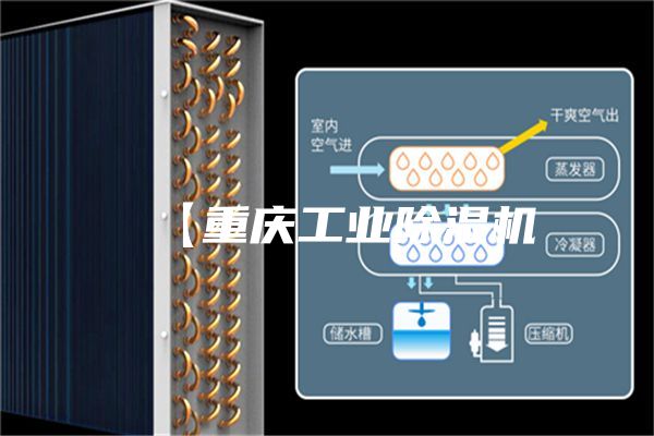 【重庆工业除湿机