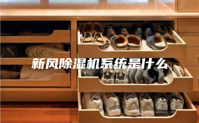 新风除湿机系统是什么