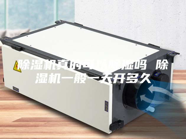 除湿机真的可以除湿吗 除湿机一般一天开多久