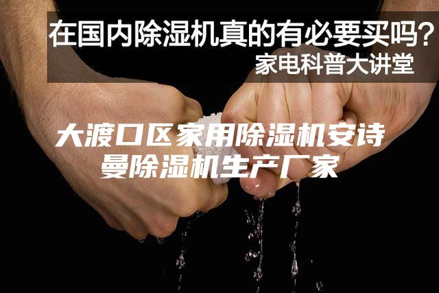 大渡口区家用除湿机安诗曼除湿机生产厂家