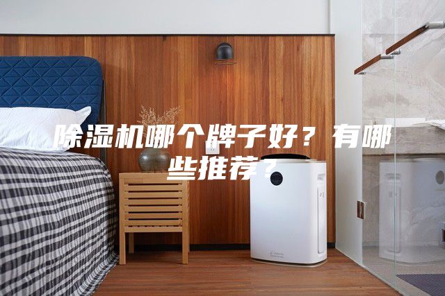 除湿机哪个牌子好？有哪些推荐？