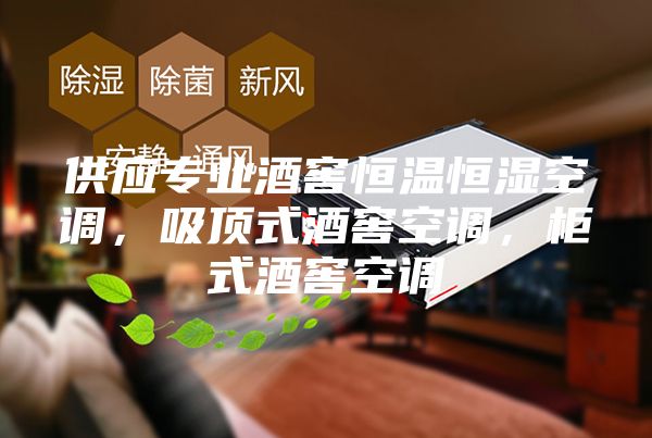 供应专业酒窖恒温恒湿空调，吸顶式酒窖空调，柜式酒窖空调