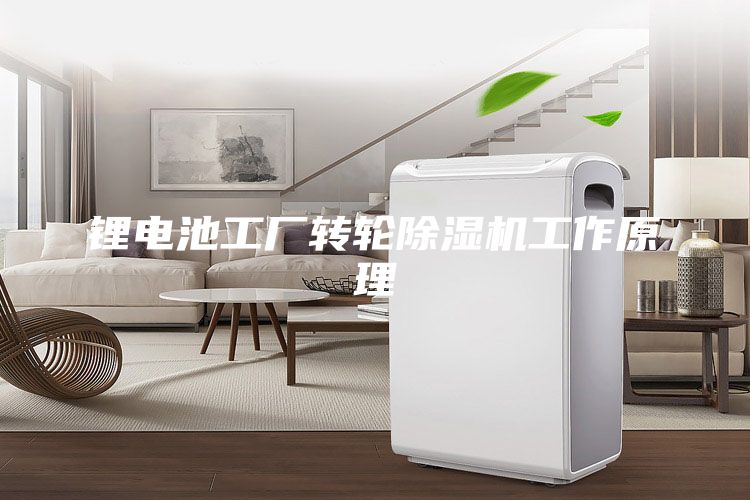 锂电池工厂转轮除湿机工作原理