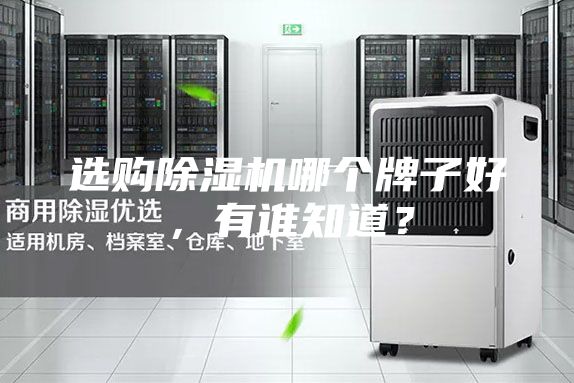 选购除湿机哪个牌子好，有谁知道？