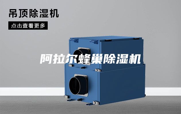 阿拉尔蜂巢除湿机