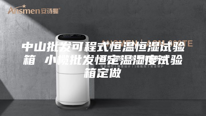 中山批发可程式恒温恒湿试验箱 小榄批发恒定温湿度试验箱定做