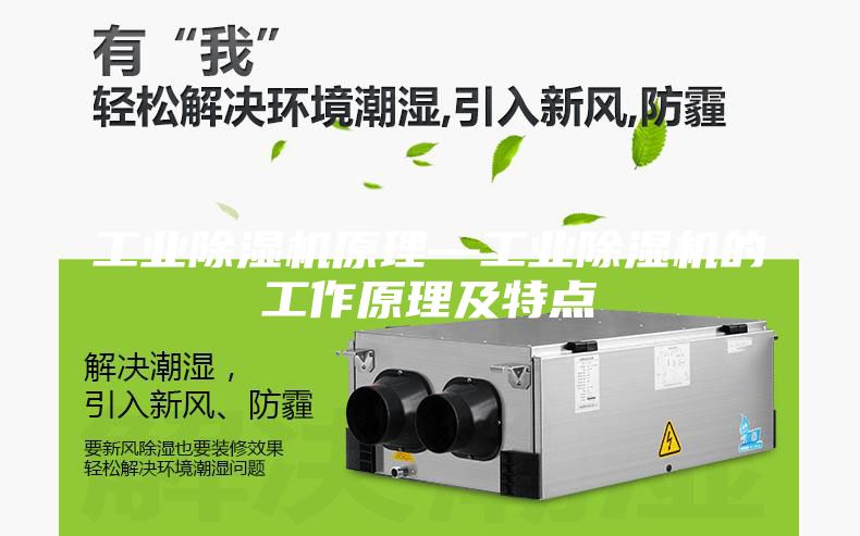 工业除湿机原理—工业除湿机的工作原理及特点