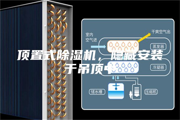 顶置式除湿机，隐藏安装于吊顶中