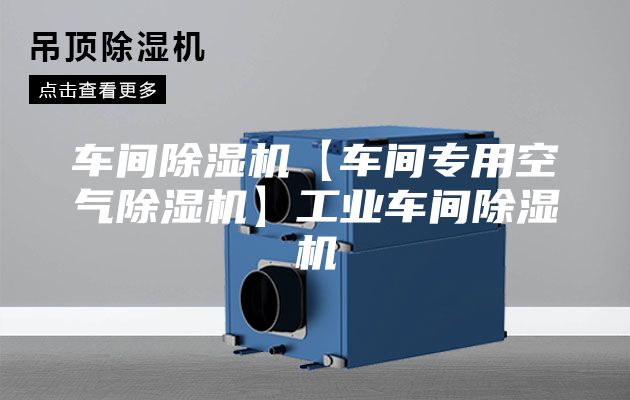 车间除湿机【车间专用空气除湿机】工业车间除湿机