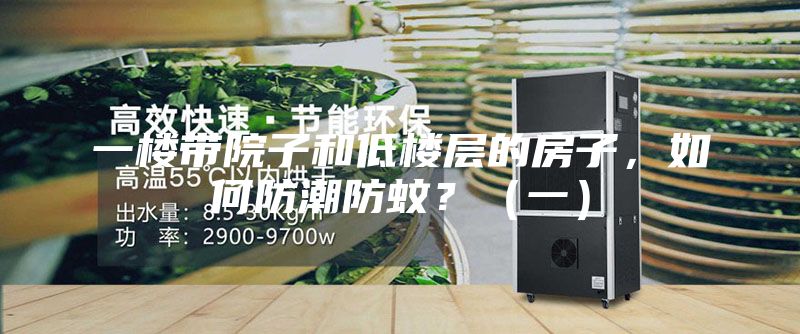 一楼带院子和低楼层的房子，如何防潮防蚊？（一）