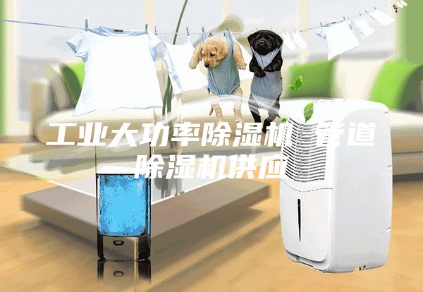 工业大功率除湿机 管道除湿机供应