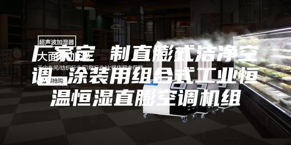 厂家定 制直膨式洁净空调 涂装用组合式工业恒温恒湿直膨空调机组