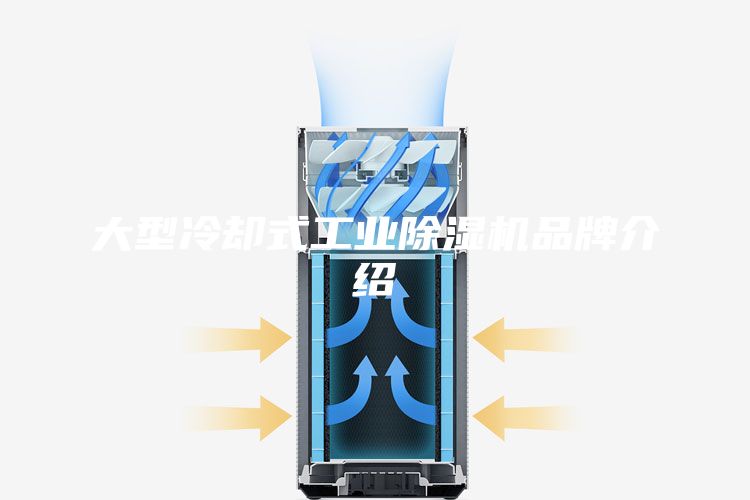 大型冷却式工业除湿机品牌介绍