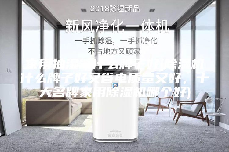 家用抽湿器什么牌子好(除湿机什么牌子好又省电质量又好，十大名牌家用除湿机哪个好)