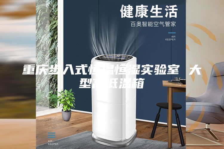 重庆步入式恒温恒湿实验室 大型高低温箱