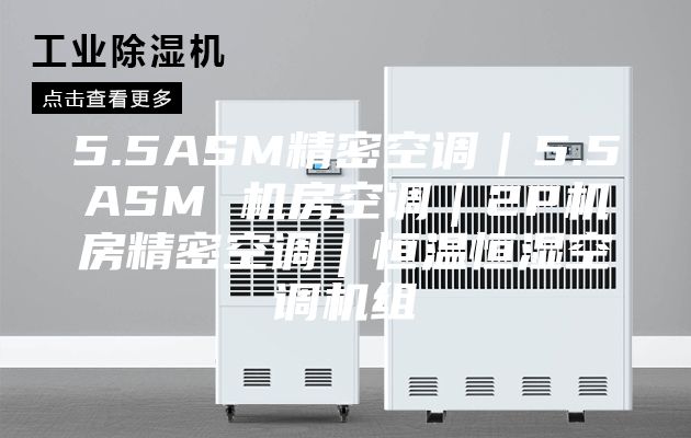 5.5ASM精密空调｜5.5ASM 机房空调｜2P机房精密空调｜恒温恒湿空调机组