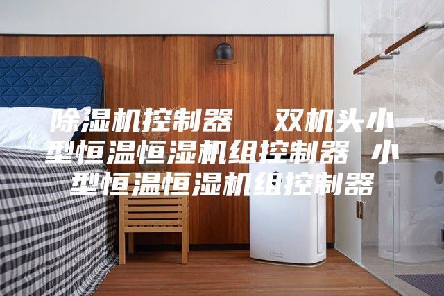 除湿机控制器  双机头小型恒温恒湿机组控制器 小型恒温恒湿机组控制器