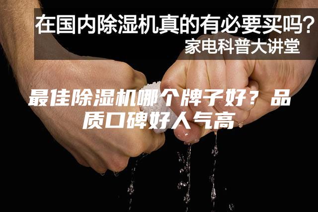 最佳除湿机哪个牌子好？品质口碑好人气高