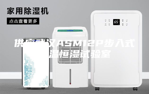供应武汉ASM12P步入式恒温恒湿试验室