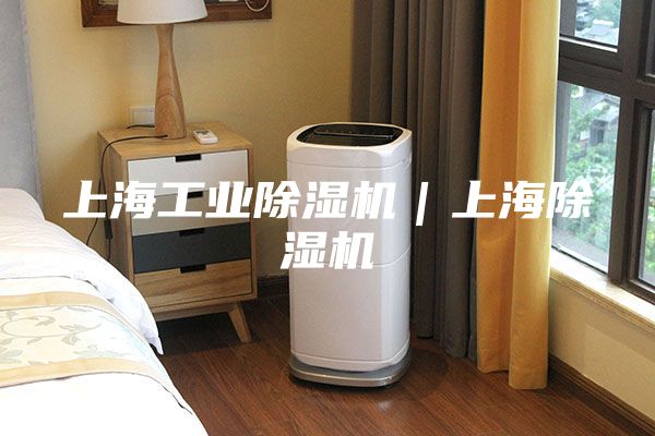 上海工业除湿机｜上海除湿机